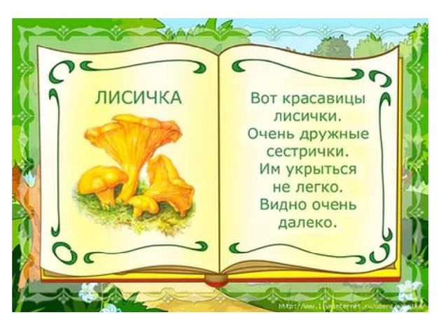 Презентация на тему "Съедобные и несъедобные грибы"