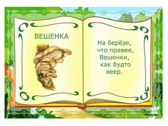 Презентация на тему "Съедобные и несъедобные грибы"