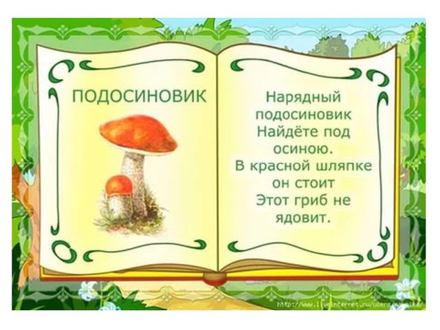 Презентация на тему "Съедобные и несъедобные грибы"