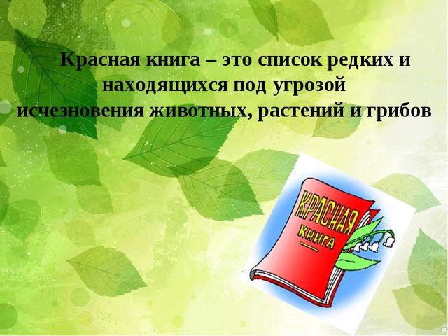 Презентация "Красная книга России" для подготовительной группы детского сада