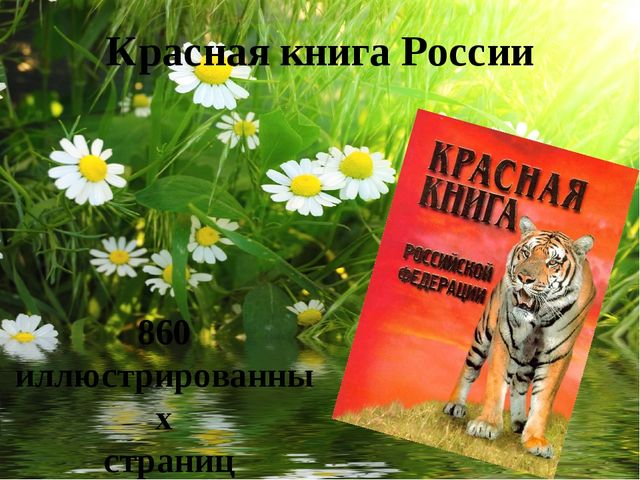 Знакомство с красной книгой подготовительная группа презентация