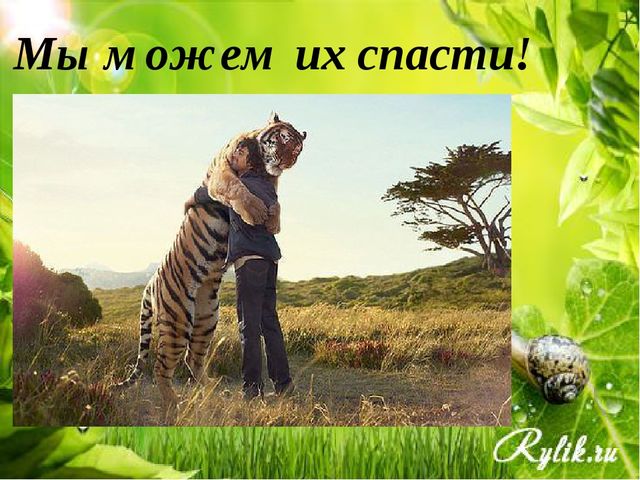 Презентация "Красная книга России" для подготовительной группы детского сада