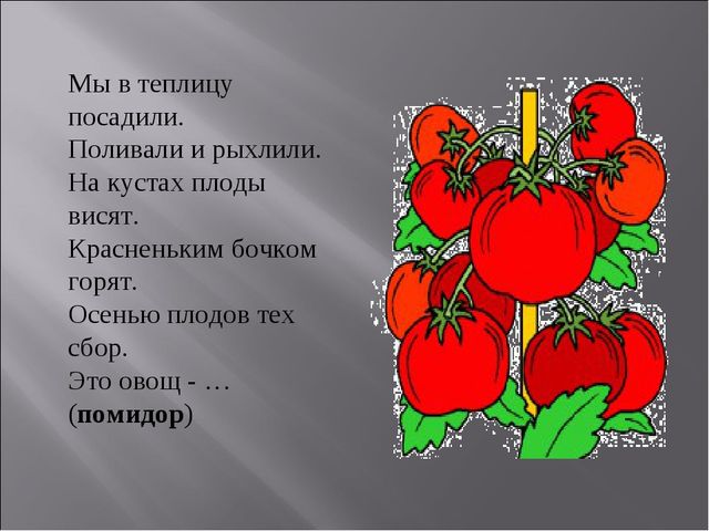 Презентация для занятий по окружающего миру по теме "Овощи. Томат"