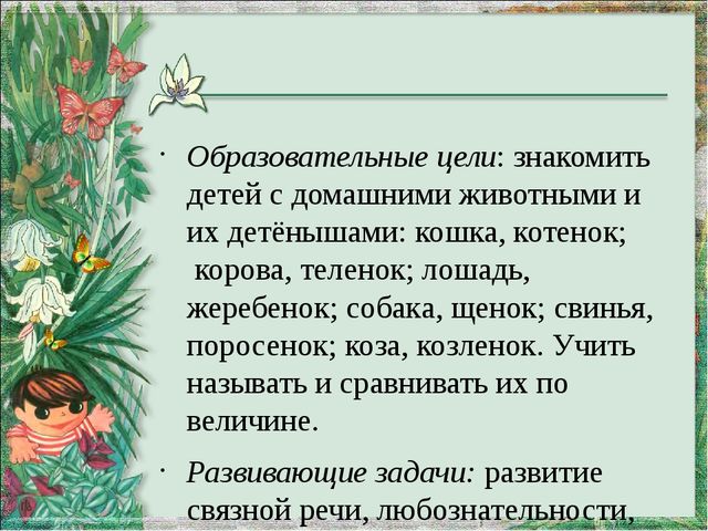 Презентация "Домашние животные и их детеныши"