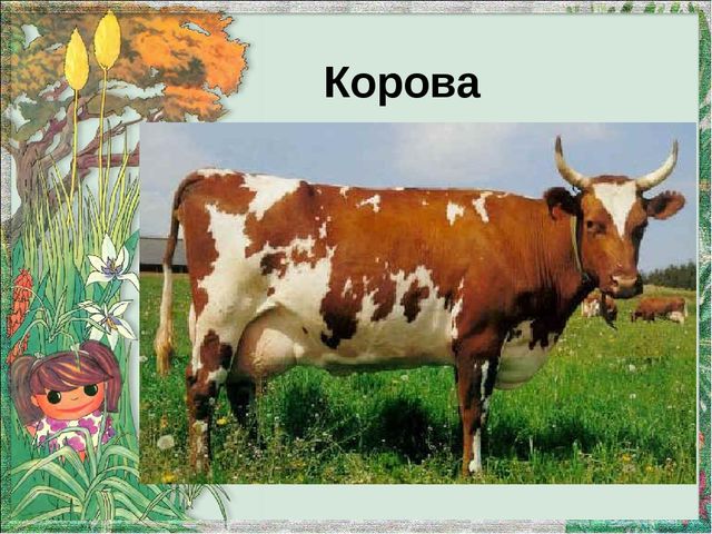 Презентация "Домашние животные и их детеныши"