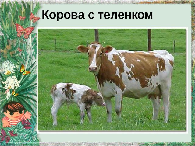 Презентация "Домашние животные и их детеныши"