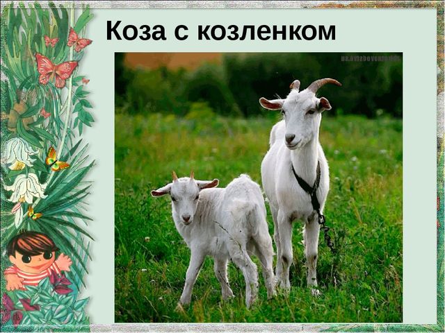 Презентация "Домашние животные и их детеныши"