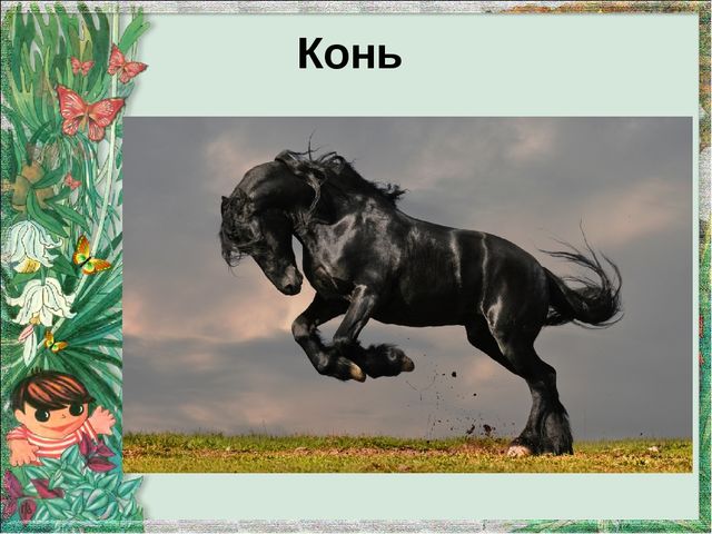 Презентация "Домашние животные и их детеныши"