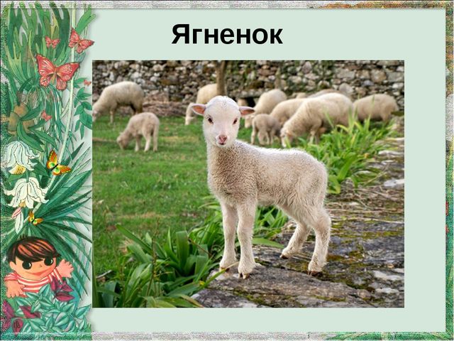 Презентация "Домашние животные и их детеныши"