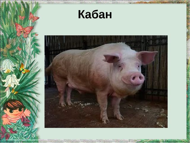 Презентация "Домашние животные и их детеныши"