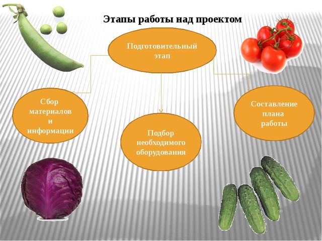 Презентация по экологическому воспитанию "Витамины с грядки"