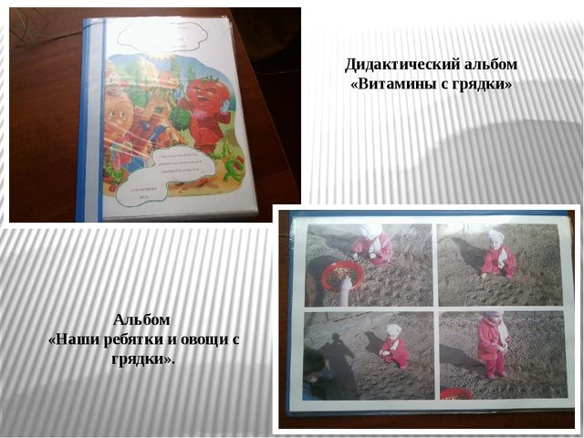 Презентация по экологическому воспитанию "Витамины с грядки"