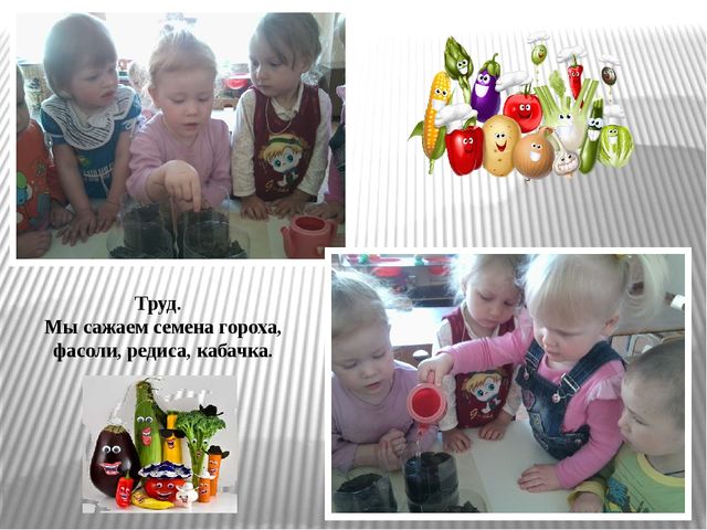 Презентация по экологическому воспитанию "Витамины с грядки"