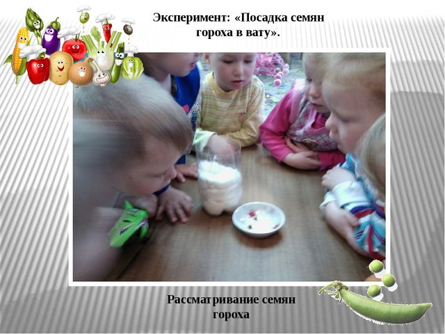 Презентация по экологическому воспитанию "Витамины с грядки"
