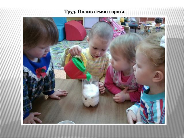 Презентация по экологическому воспитанию "Витамины с грядки"