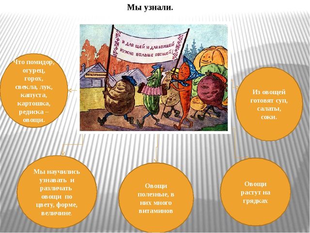 Презентация по экологическому воспитанию "Витамины с грядки"