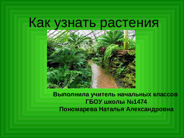 Презентация .Зеленые тропинки.А.А.Плешаков.Тема "Как узнать растения"