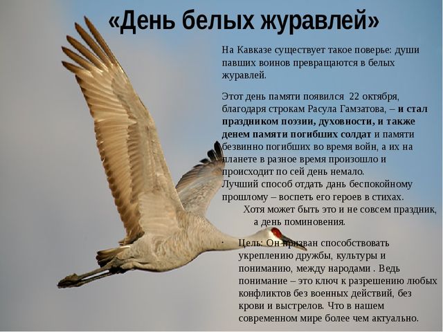 Презентация по патриотическому воспитанию "Белый журавлик" для дошкольников