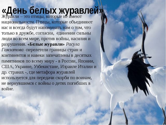 Презентация по патриотическому воспитанию "Белый журавлик" для дошкольников