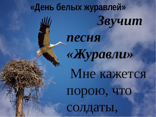 Презентация по патриотическому воспитанию "Белый журавлик" для дошкольников