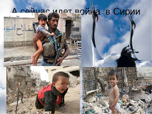 Презентация по патриотическому воспитанию "Белый журавлик" для дошкольников