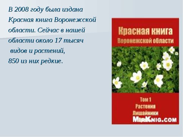 Презентация на тему "Растения Воронежской области"