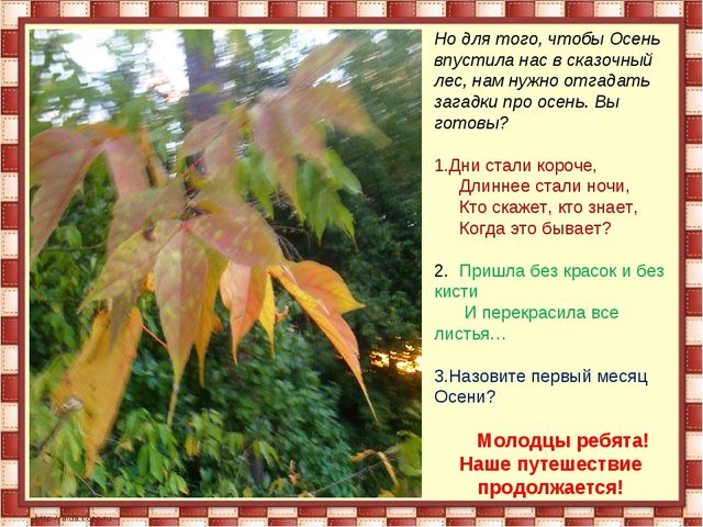 Презентация подготовительная группа " Осень"