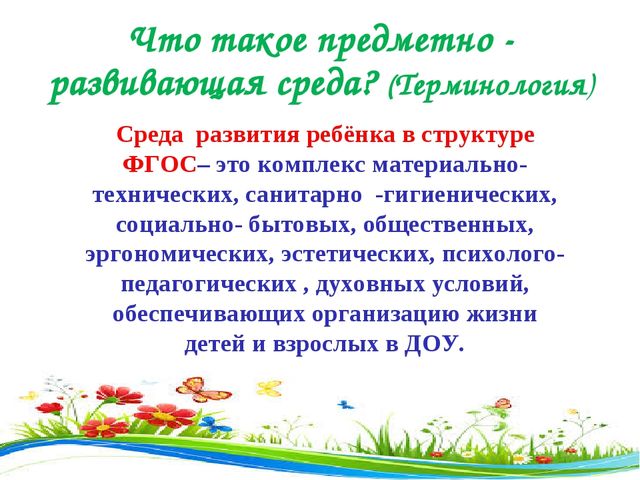 Презентация " Предметно- окружающая среда"