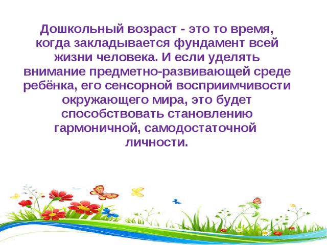 Презентация " Предметно- окружающая среда"