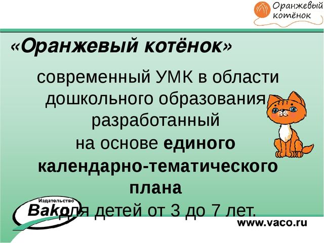 ПРОГРАММА для ДОО "Оранжевый Котенок"