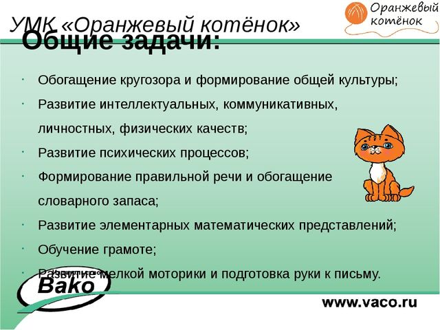 ПРОГРАММА для ДОО "Оранжевый Котенок"