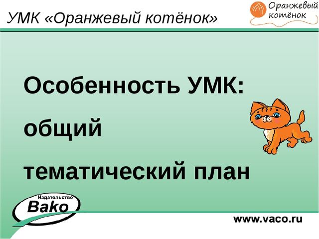 ПРОГРАММА для ДОО "Оранжевый Котенок"