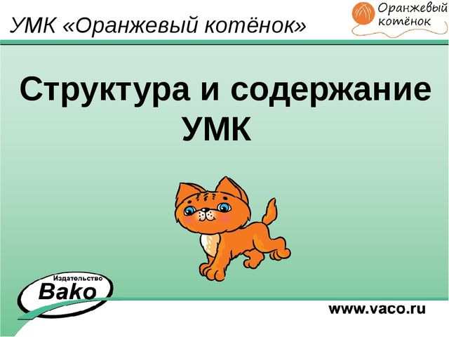 ПРОГРАММА для ДОО "Оранжевый Котенок"