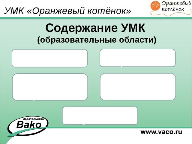 ПРОГРАММА для ДОО "Оранжевый Котенок"