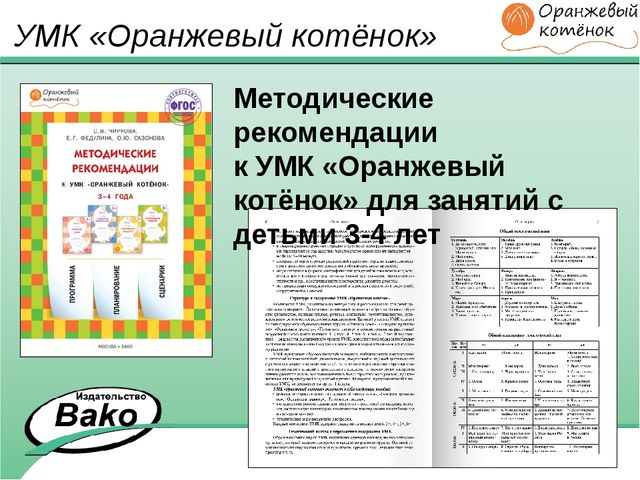 ПРОГРАММА для ДОО "Оранжевый Котенок"