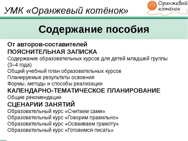 ПРОГРАММА для ДОО "Оранжевый Котенок"