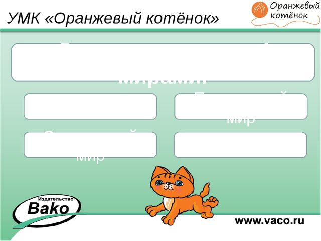 ПРОГРАММА для ДОО "Оранжевый Котенок"