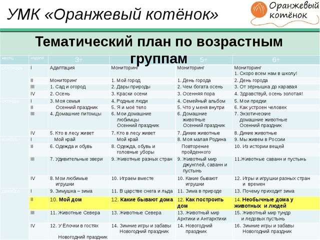 ПРОГРАММА для ДОО "Оранжевый Котенок"