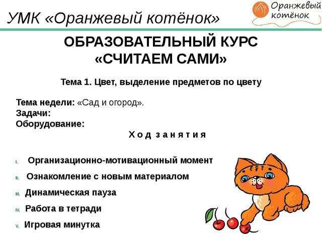 ПРОГРАММА для ДОО "Оранжевый Котенок"