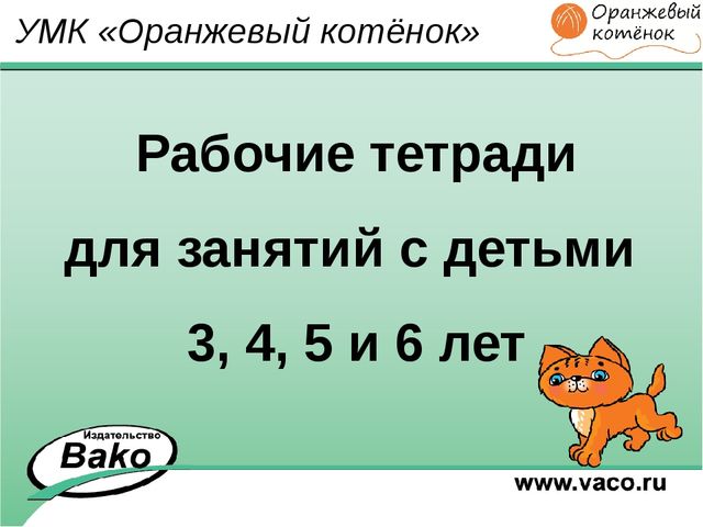 ПРОГРАММА для ДОО "Оранжевый Котенок"