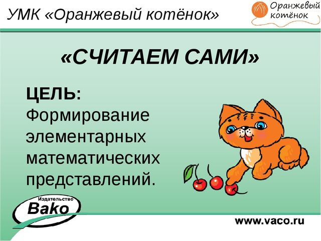 ПРОГРАММА для ДОО "Оранжевый Котенок"