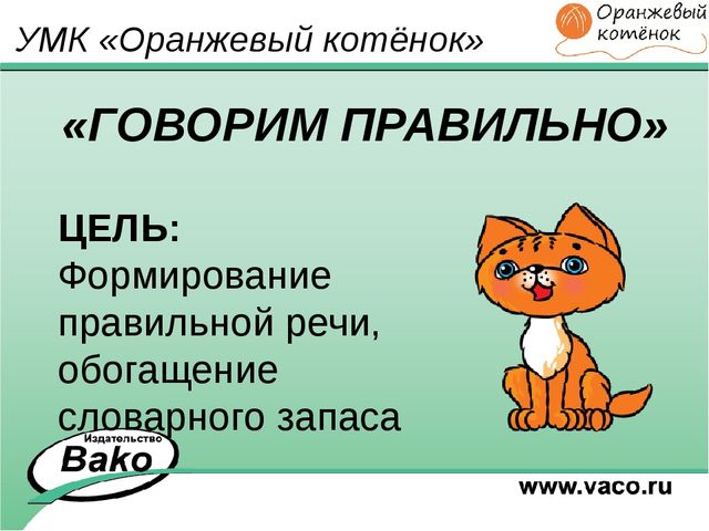 ПРОГРАММА для ДОО "Оранжевый Котенок"