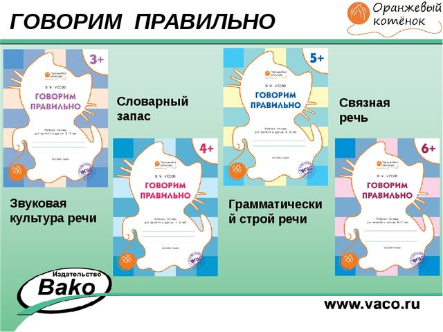 ПРОГРАММА для ДОО "Оранжевый Котенок"