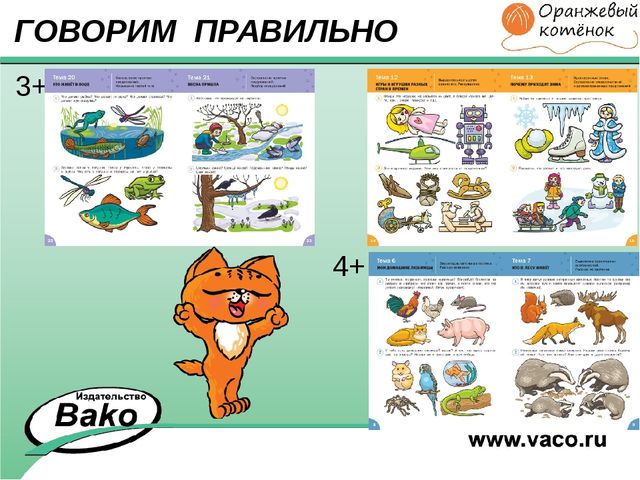 ПРОГРАММА для ДОО "Оранжевый Котенок"