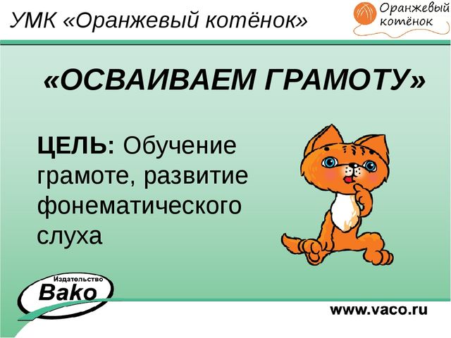 ПРОГРАММА для ДОО "Оранжевый Котенок"