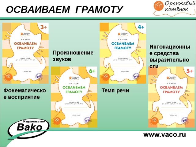 ПРОГРАММА для ДОО "Оранжевый Котенок"