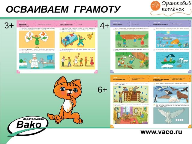 ПРОГРАММА для ДОО "Оранжевый Котенок"