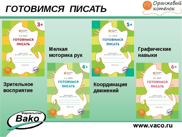 ПРОГРАММА для ДОО "Оранжевый Котенок"