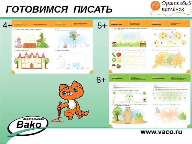 ПРОГРАММА для ДОО "Оранжевый Котенок"