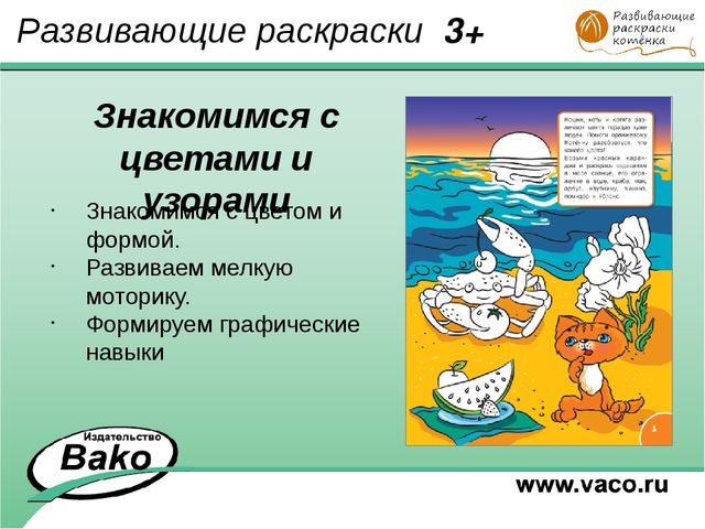ПРОГРАММА для ДОО "Оранжевый Котенок"